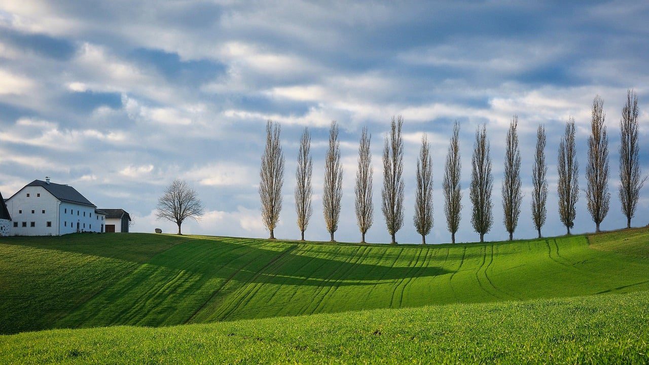 tambov_landscape