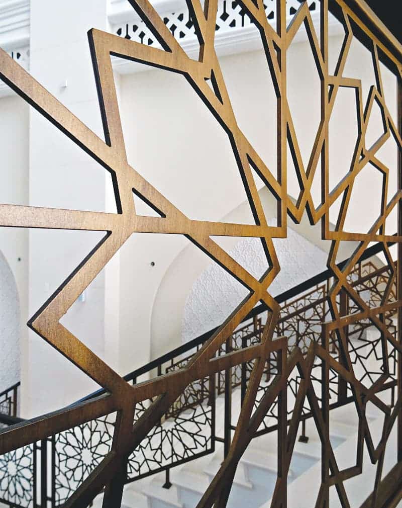 Shakh_laser_rail_2