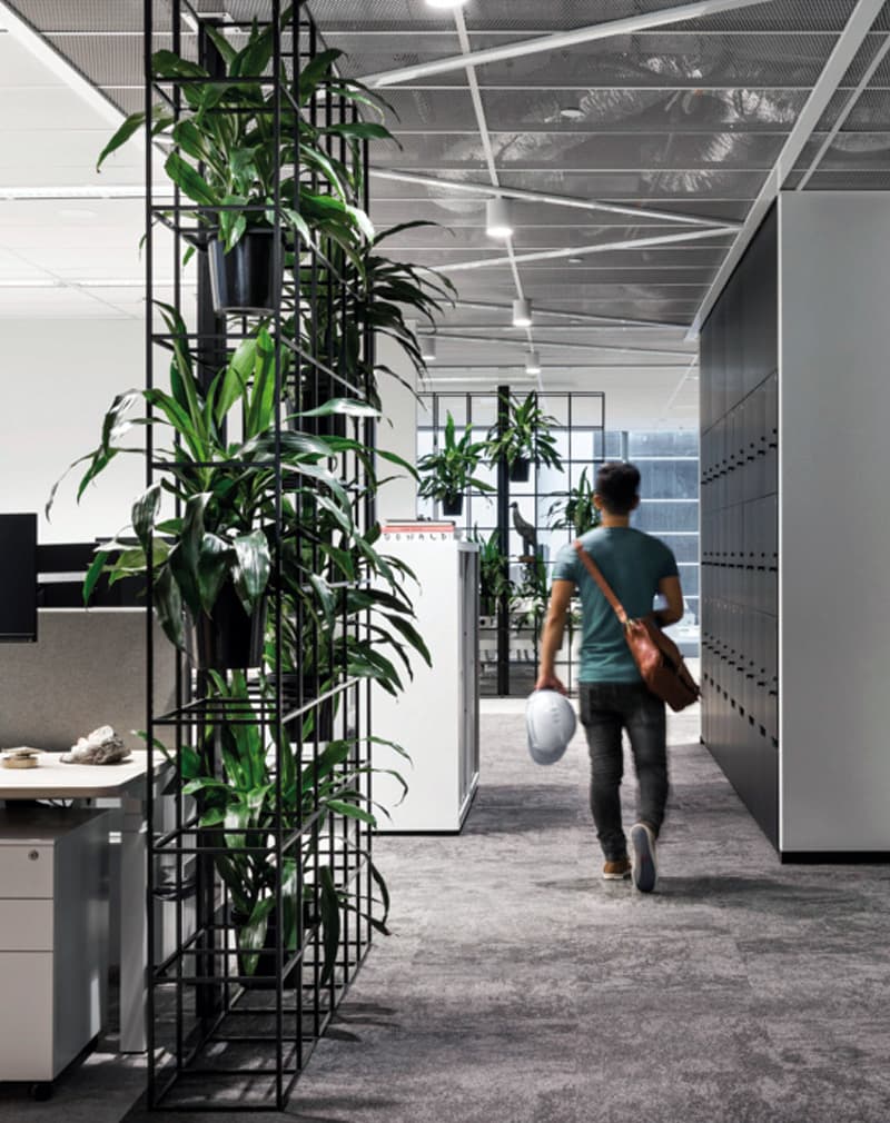 Shelf_partition_3