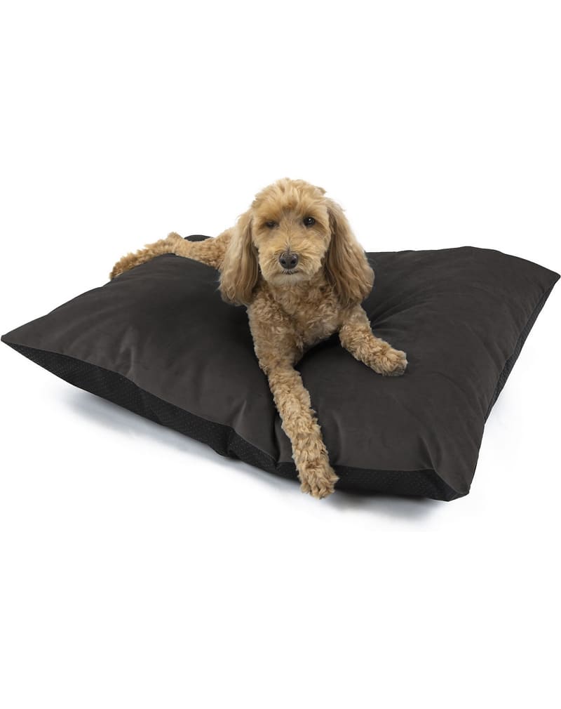 bed-pet3