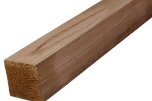 Brus95x95-003